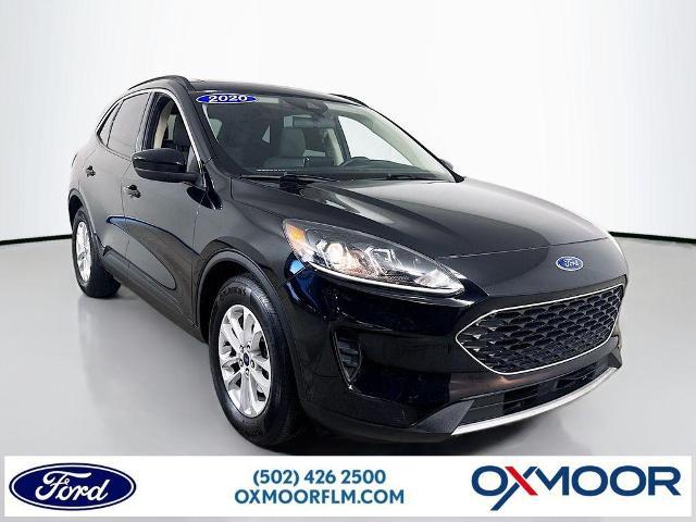 2020 Ford Escape SE for sale in Louisville, KY