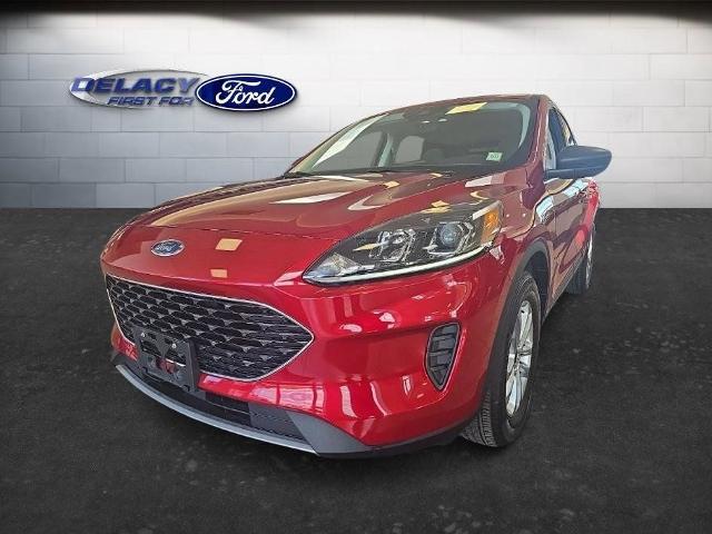 2022 Ford Escape SE for sale in Elma, NY