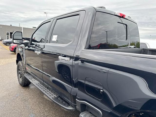 2023 Ford F-250 Platinum