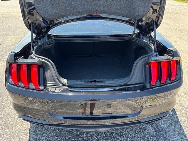 2019 Ford Mustang BULLITT