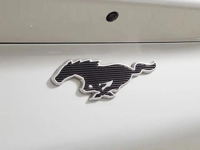 2022 Ford Mustang Mach-E Premium