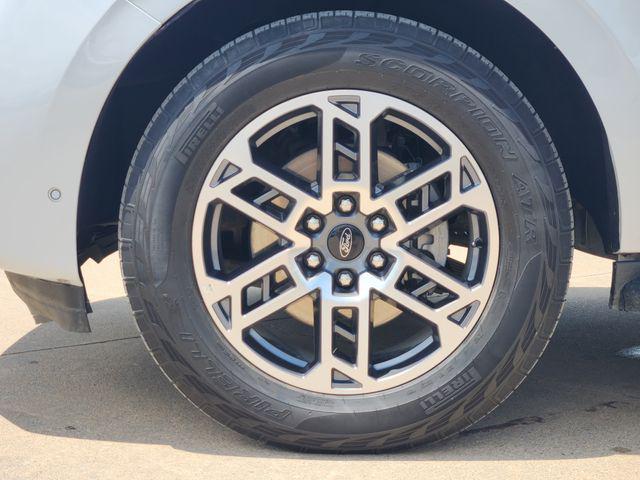 2025 Ford Expedition Active MAX
