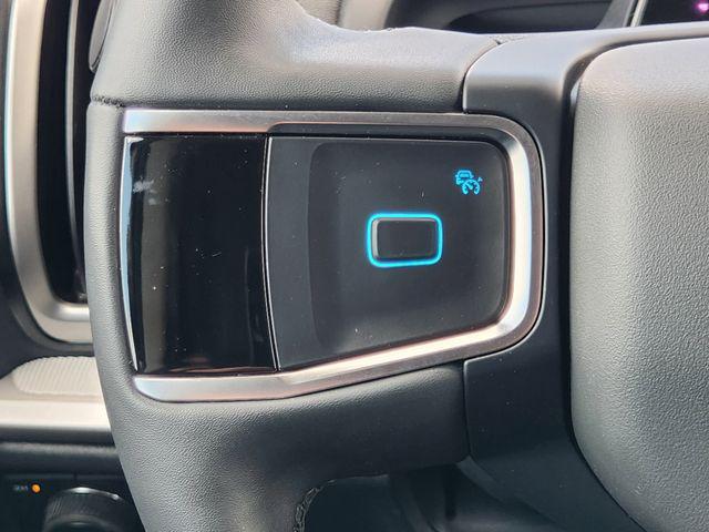 2025 Ford Expedition Active MAX