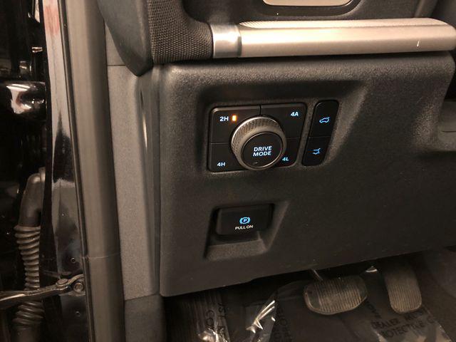 2025 Ford Expedition Active MAX