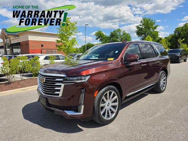 2023 Cadillac Escalade 4WD Premium Luxury Platinum for sale in Ballwin, MO