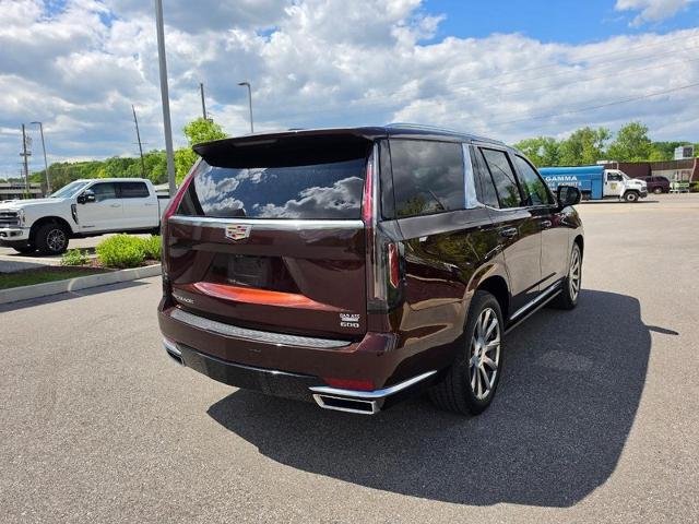 2023 Cadillac Escalade 4WD Premium Luxury Platinum