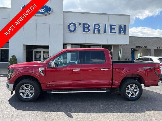 2024 Ford F-150 XLT for sale in Shelbyville, KY