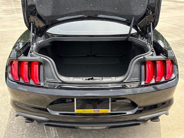2022 Ford Mustang EcoBoost Fastback