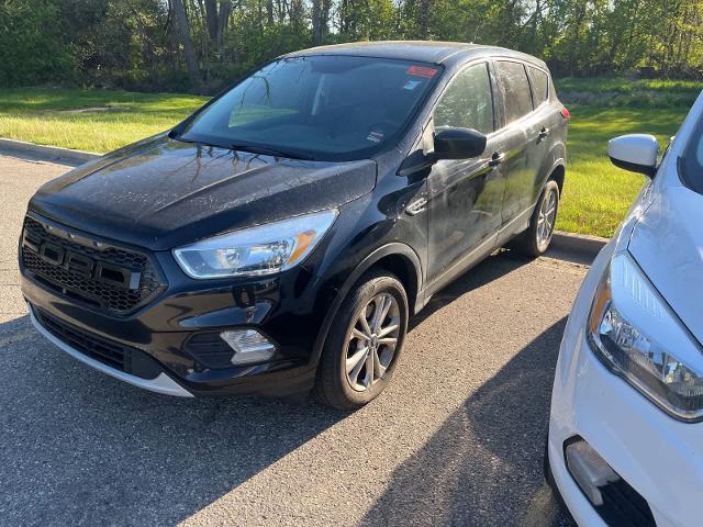2019 Ford Escape SE for sale in Sterling Heights, MI