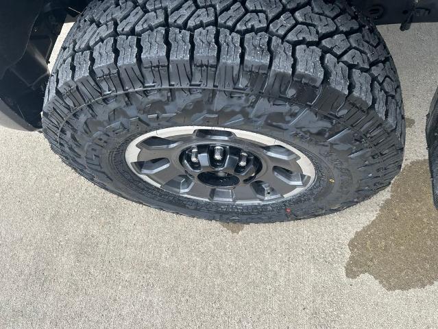 2024 Ford F-250 Platinum