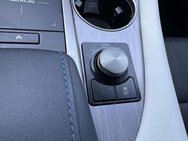 2021 Lexus RX 350 F SPORT Appearance