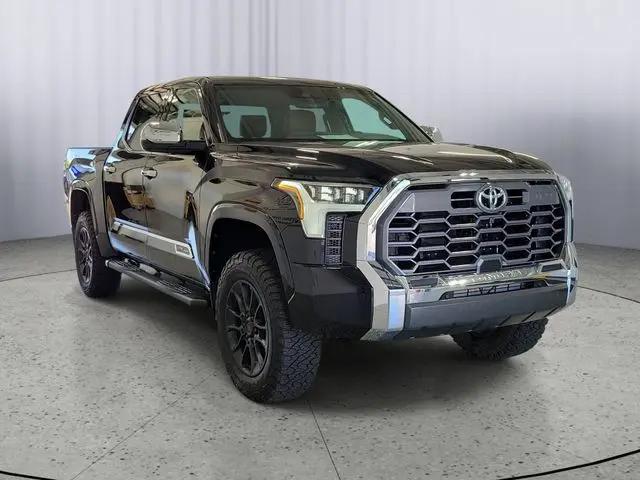 2025 Toyota Tundra 1794 Edition for sale in Kalamazoo, MI