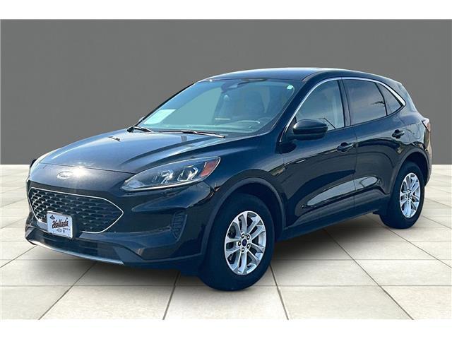 2020 Ford Escape SE for sale in Dodgeville, WI
