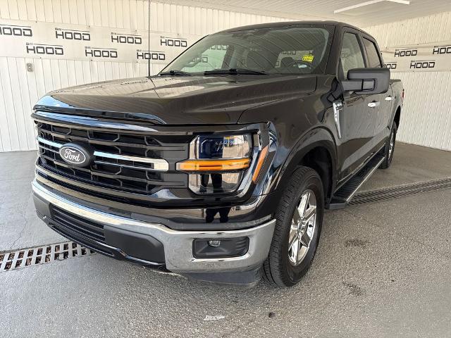 2025 Ford F-150 XLT for sale in Hammond, LA