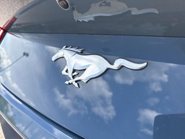 2025 Ford Mustang EcoBoost Premium Fastback
