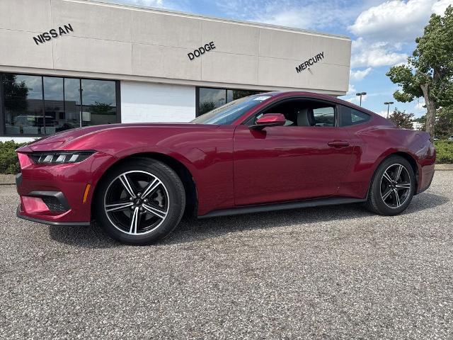 2025 Ford Mustang EcoBoost Fastback for sale in Louisville, KY