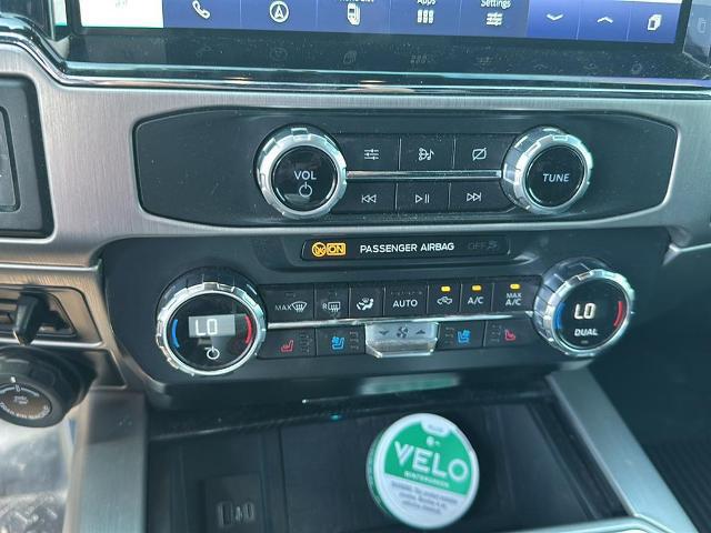 2022 Ford F-250 Platinum