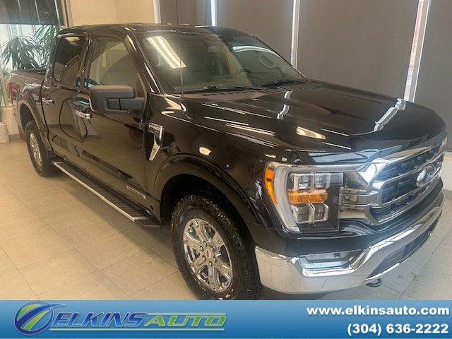 2023 Ford F-150 XLT for sale in Elkins, WV