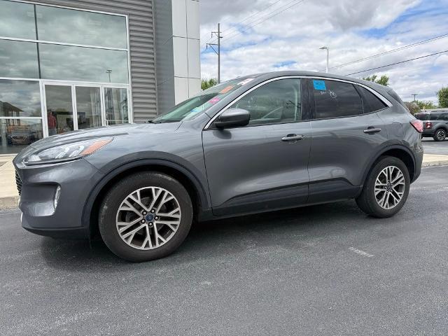 2022 Ford Escape SEL for sale in Celina, OH