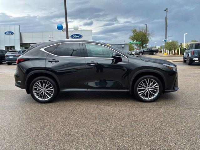 2024 Lexus NX 350 Luxury for sale in Madison, WI