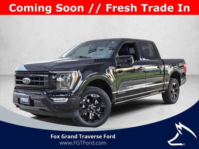 2025 Ford F-150 XLT for sale in Traverse City, MI