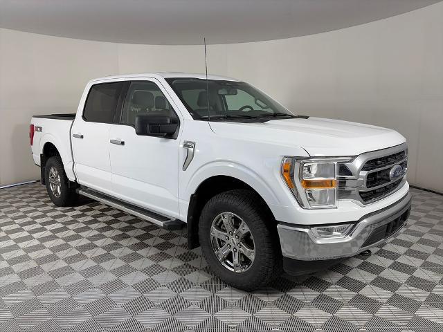 2023 Ford F-150 XLT for sale in Denver, CO