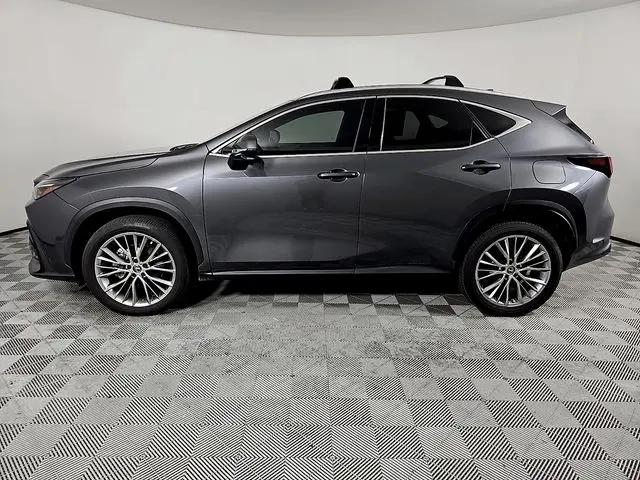 2025 Lexus NX 350 Luxury