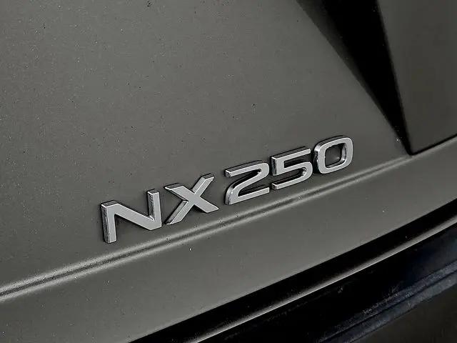 2024 Lexus NX Premium