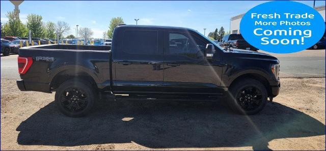 2023 Ford F-150 XLT for sale in North Branch, MN