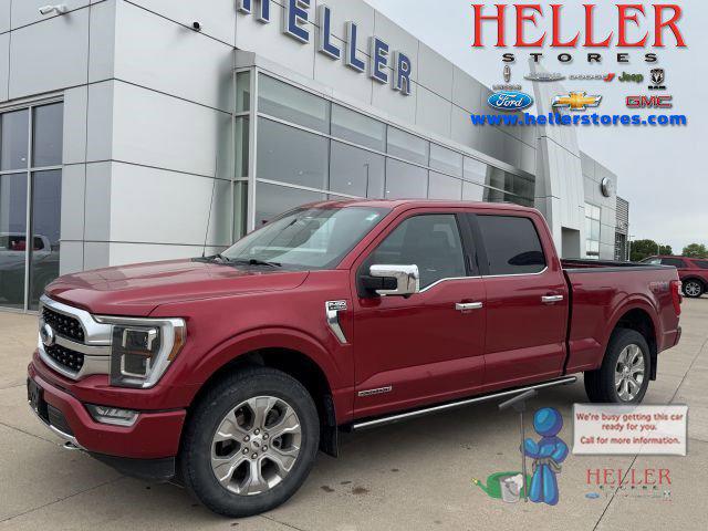 2021 Ford F-150 Platinum for sale in El Paso, IL