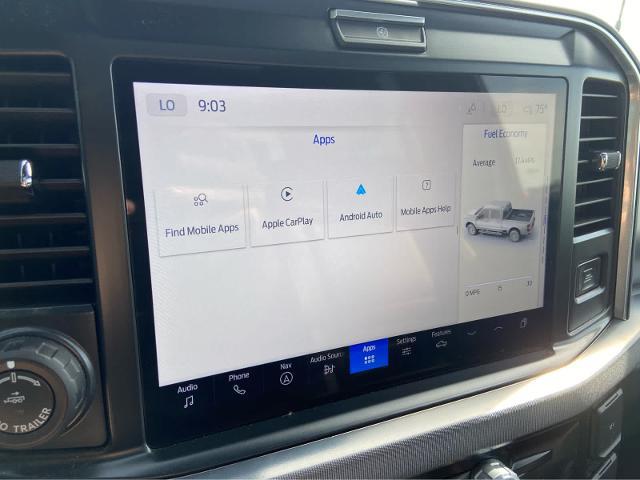 2025 Ford F-250 Platinum