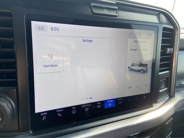 2025 Ford F-250 Platinum