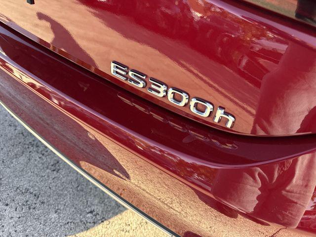 2025 Lexus ES 300h 300h