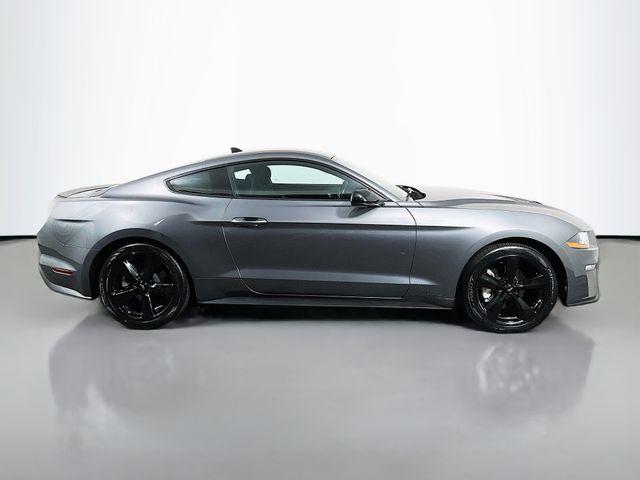 2023 Ford Mustang EcoBoost Fastback