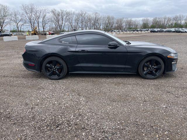 2022 Ford Mustang EcoBoost Fastback for sale in Saint Cloud, MN