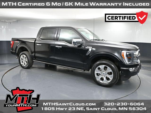 2023 Ford F-150 Platinum for sale in Saint Cloud, MN