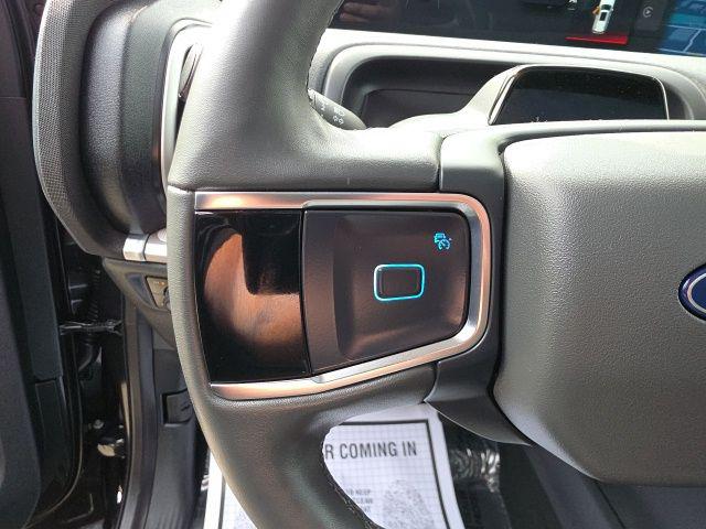 2025 Ford Expedition Active MAX