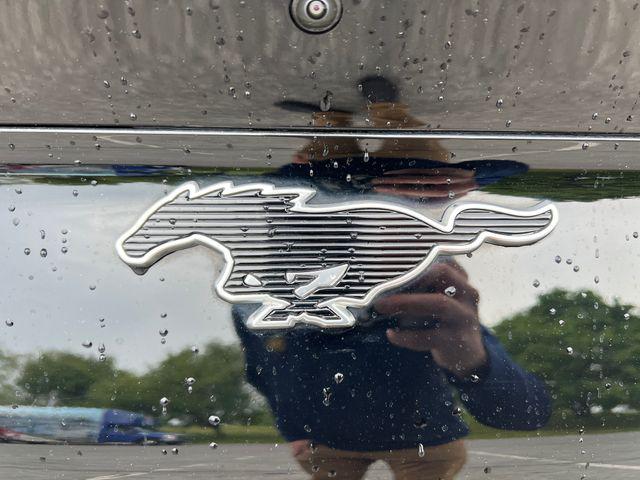 2023 Ford Mustang Mach-E California Route 1