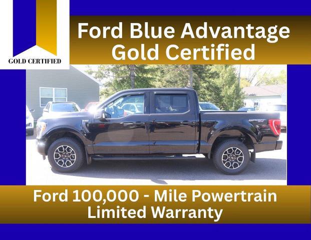 2023 Ford F-150 XLT for sale in Medford, WI