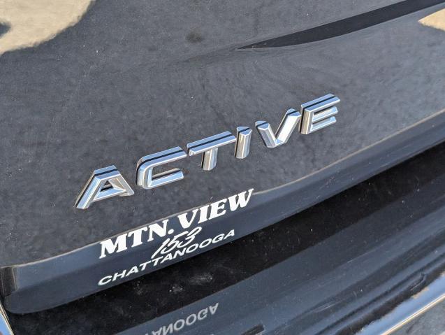2025 Ford Expedition Active MAX