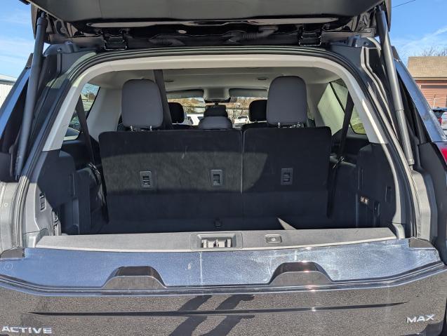 2025 Ford Expedition Active MAX