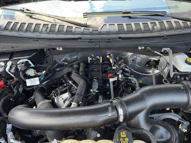 2025 Ford Expedition Platinum MAX