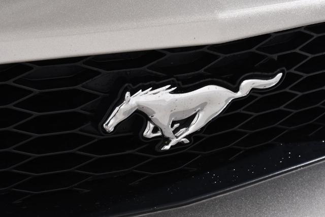 2009 Ford Mustang GT Premium