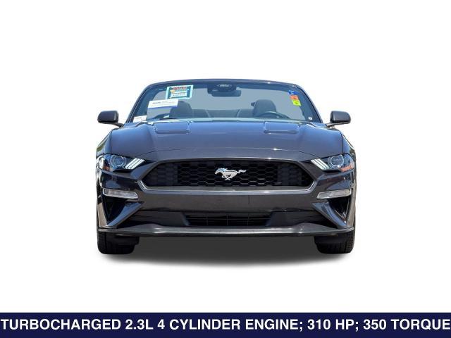 2023 Ford Mustang EcoBoost Convertible