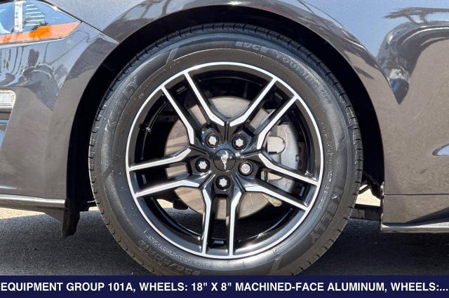 2023 Ford Mustang EcoBoost Convertible