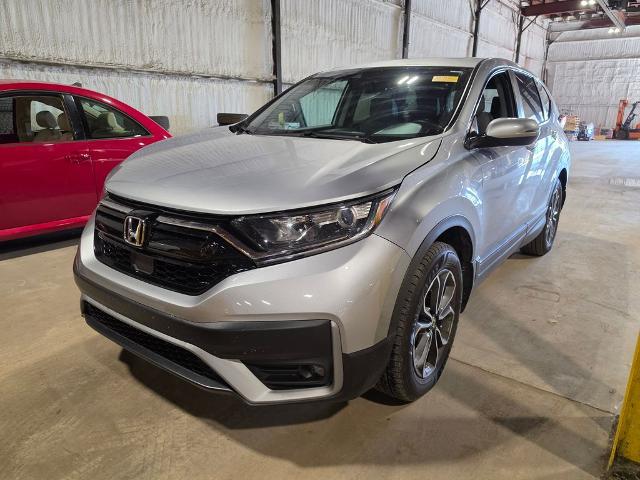 2021 Honda CR-V AWD EX-L for sale near Chillicothe, OH