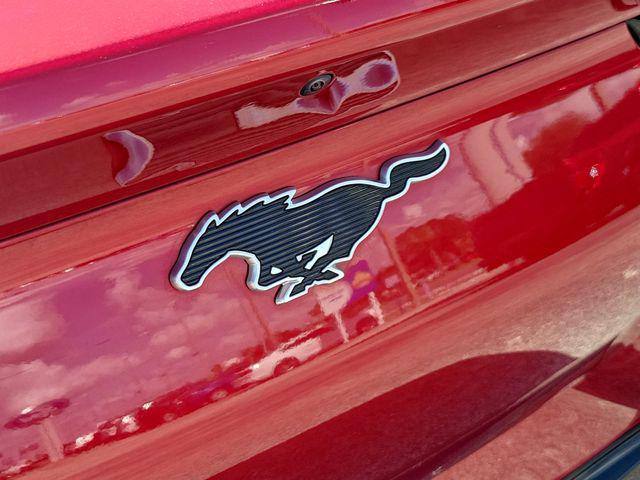 2022 Ford Mustang Mach-E California Route 1