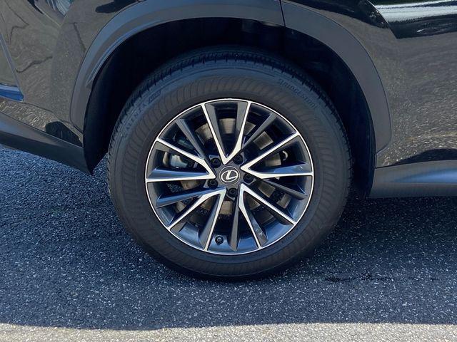 2023 Lexus NX 350 Premium