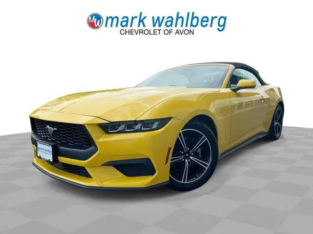 2024 Ford Mustang EcoBoost Premium Convertible for sale in Avon, OH