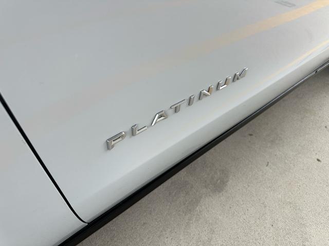 2025 Ford Expedition Platinum MAX